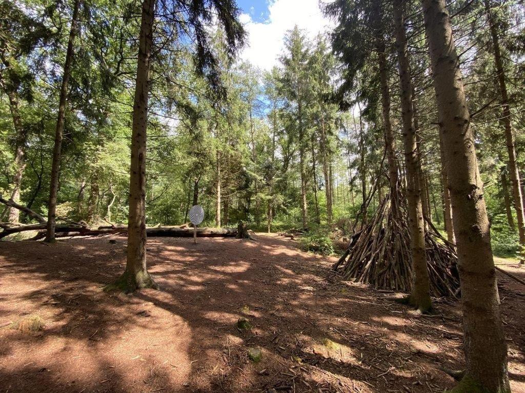 Ferienhaus Seestern Am Harkebruegger See Mit Sauna Und Kamin Barssel  Buitenkant foto